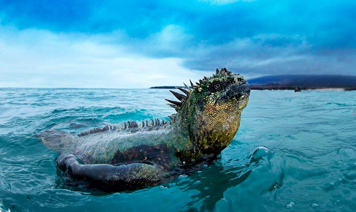 REQUISITOS PARA EL INGRESO A GALÁPAGOS – ECUADOR